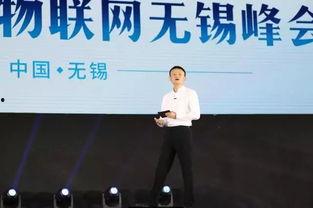 马云爆料完整视频,完整视频内容深度解析